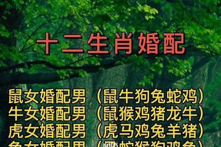...无限感激!比如说到底寿金到底是烧多少？拿什么纸写什么