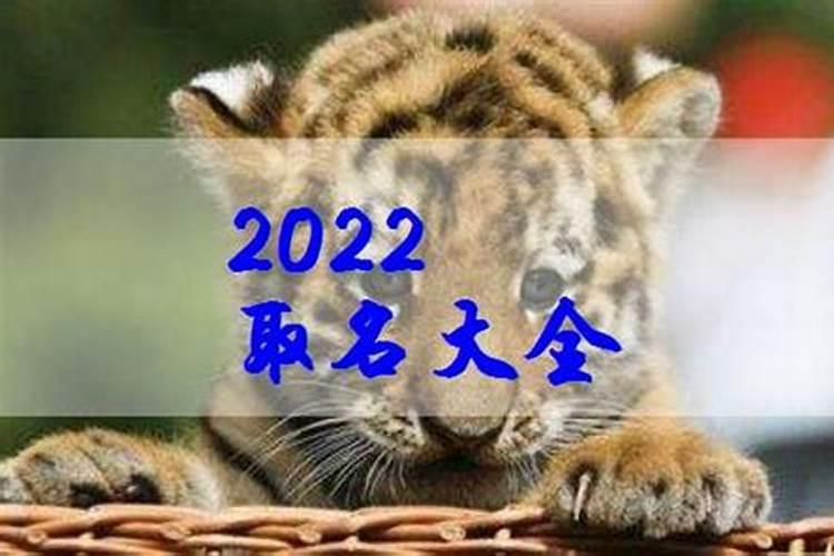 冬至出生的小孩好不好