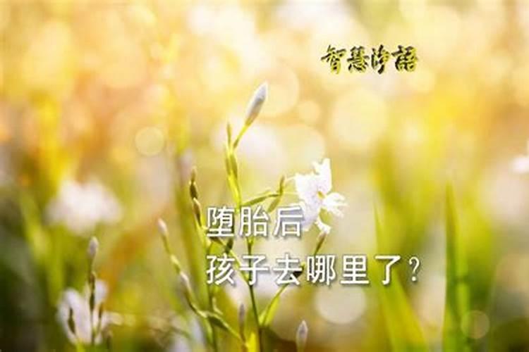 苑本民出生于哪里