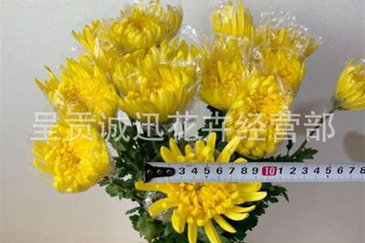 2016阴历3月15是什么日子