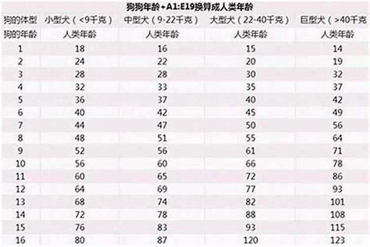 属狗的2025年多大