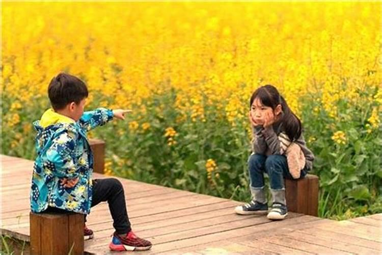 梦见12生肖是什么预兆