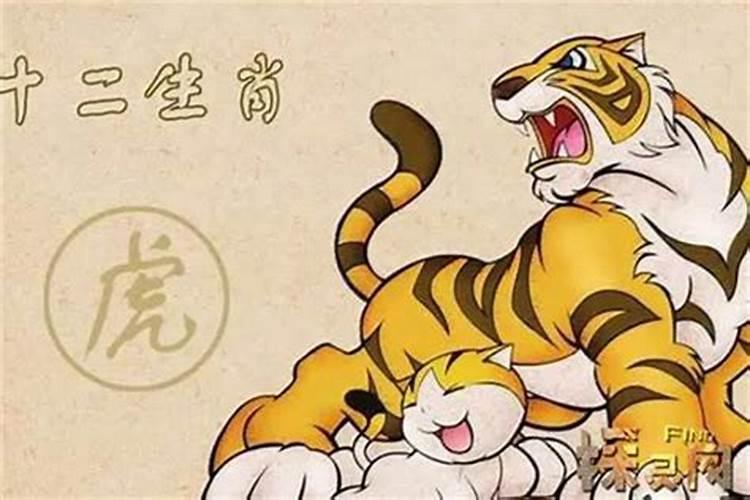 1986年属虎2024年本命年运气好吗 86年出生属虎36岁带什么合适