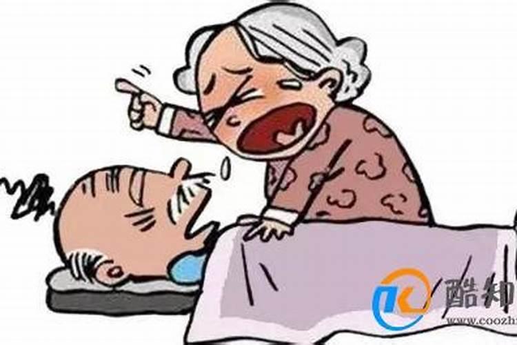 属鼠最佳婚配什么属相