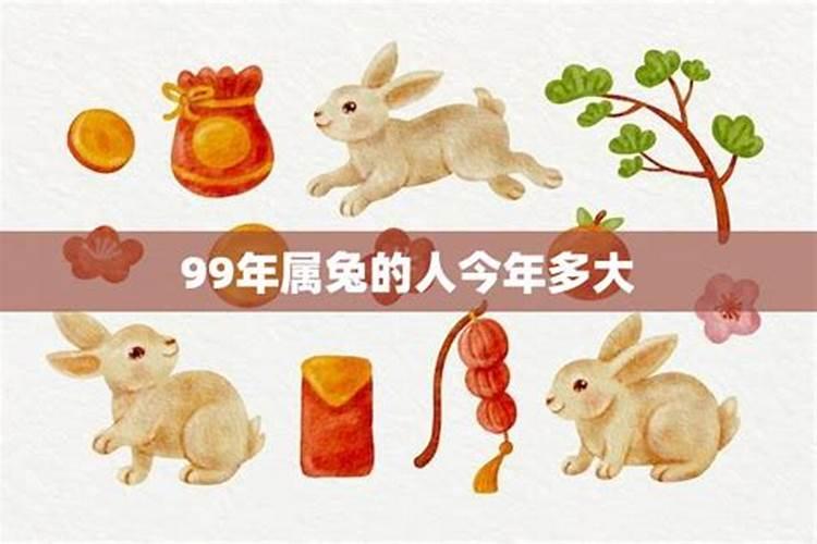 属兔的今年多少岁