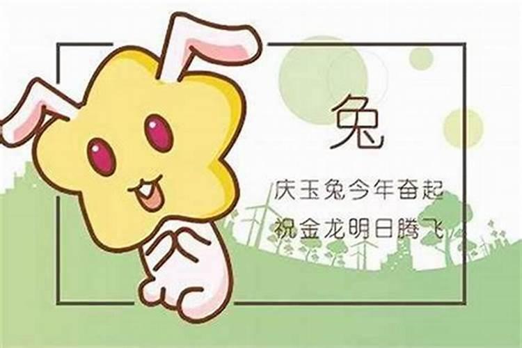 今年属兔多大岁数2024 属兔今年多大岁数2024年
