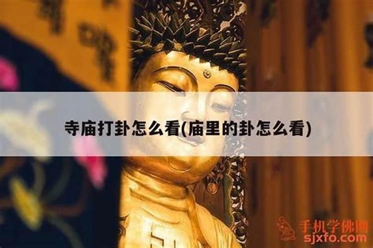 喇叭打卦需要生日吗