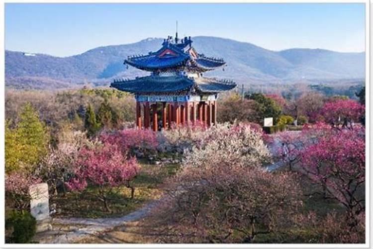 三月去哪里旅游最好三月去哪里旅游最好