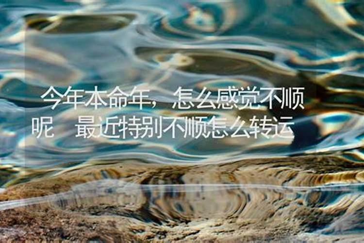 牛年本命年财运不好怎么办,属牛本命年不顺怎么破解