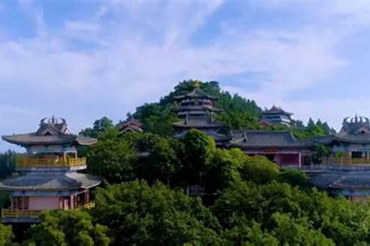 备孕梦见狗是怀孕的征兆