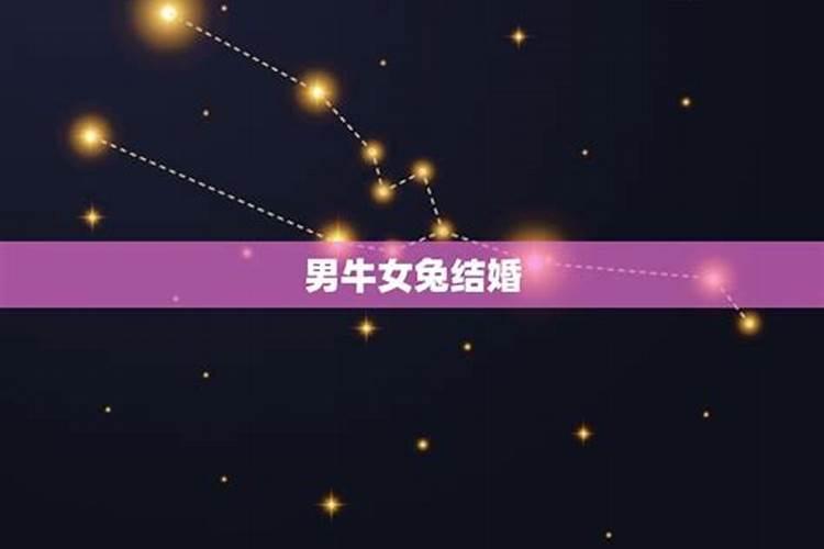 男牛女兔结婚好不好男牛女兔结婚的幸福吗