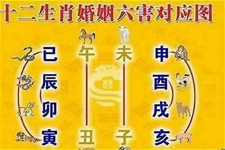 婚姻属相四大吉忌是哪些,合婚的四大忌四小忌
