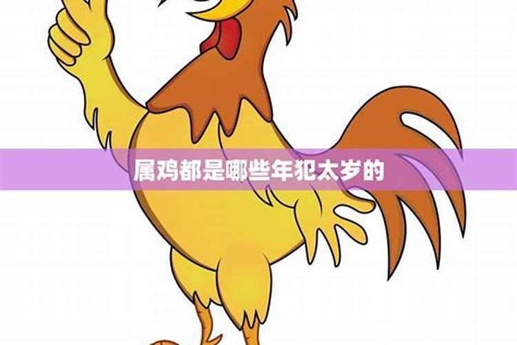 属马和属虎的合不合财运呀