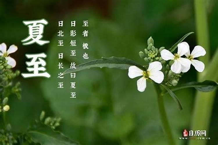 2025年犯太岁的属相有哪几个
