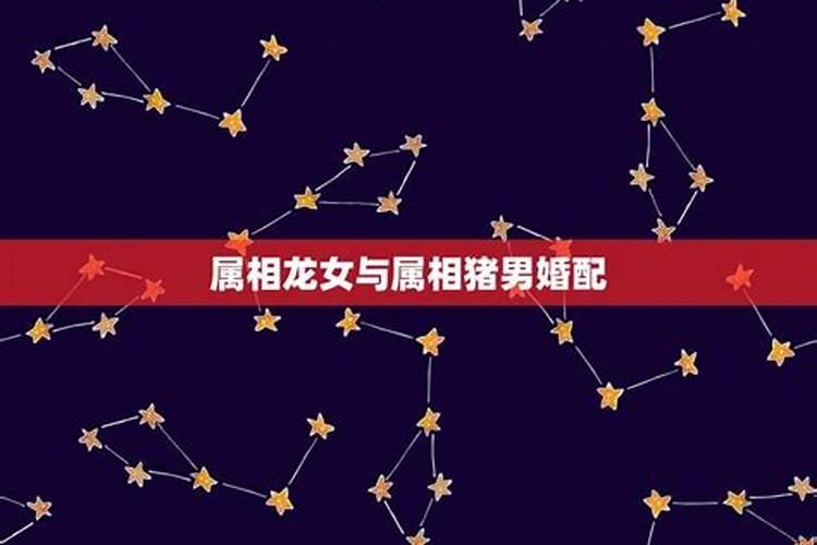 76年属龙男和83年属猪女合适吗？懂的分析一下好吗？