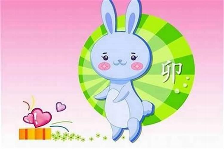女人梦到超级大乌龟什么预兆