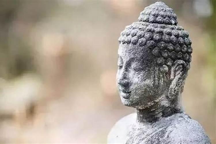 如何回向给被堕胎的胎儿