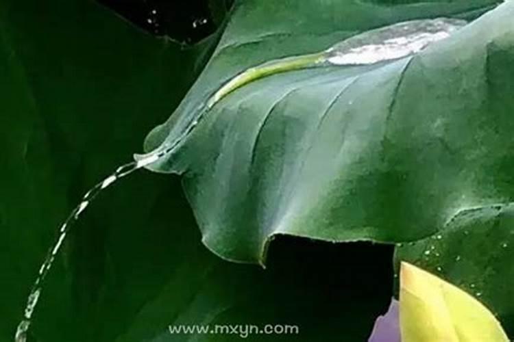 七月初七为什么叫鬼节