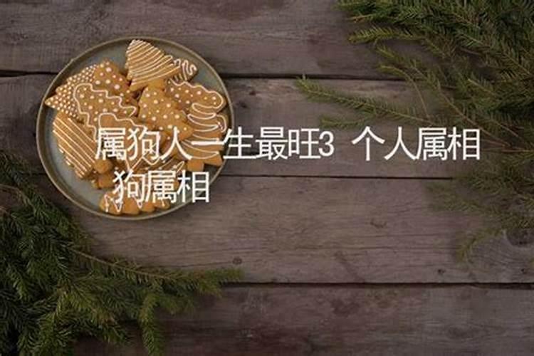 梦见别人被蛇咬了是什么征兆