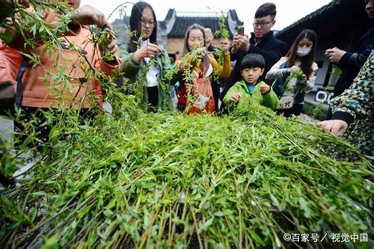 2025属狗每月运势运程详解是怎样的