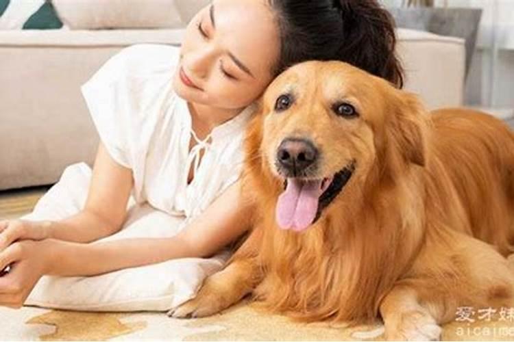 女人梦到狗是什么征兆 女人梦见狗好不好