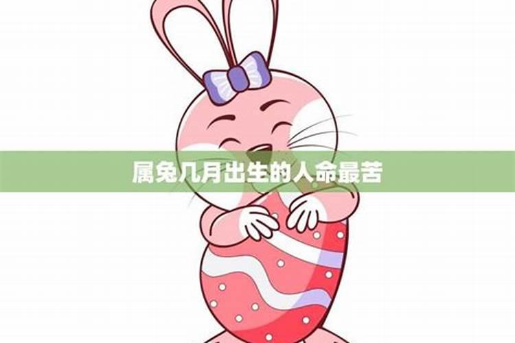 腊月兔的命运怎么样