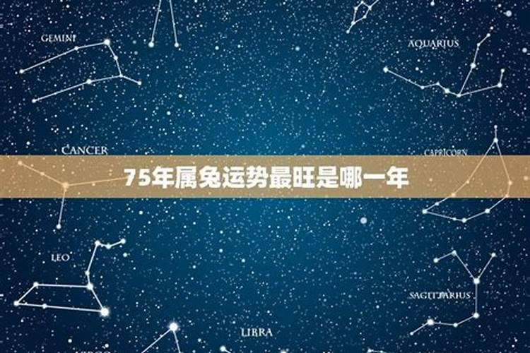 属虎2024年犯不犯太岁 属虎2024年犯太岁怎么化解