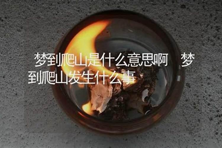 12月出生的兔子一生运势如何,十二月兔女的命运怎么样