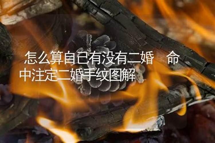 钟灵观地址在哪里？