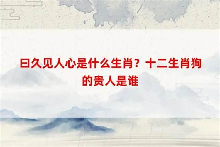 12生肖哪个是小人