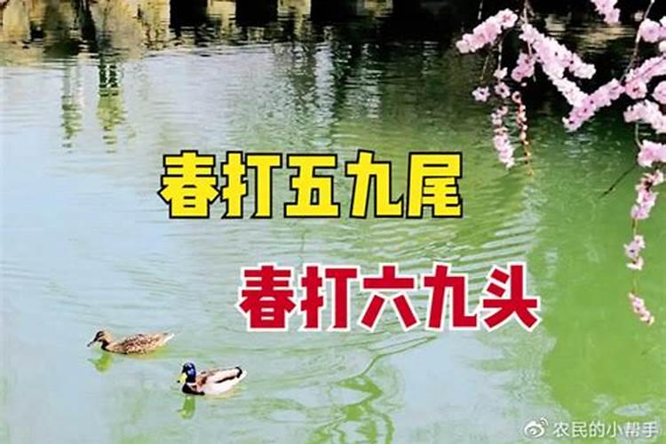 晚上立春的禁忌