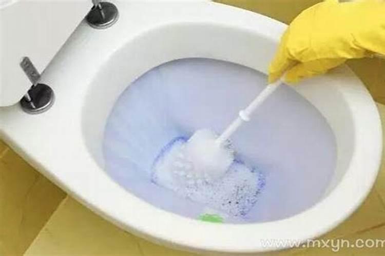 梦见马桶里有鱼