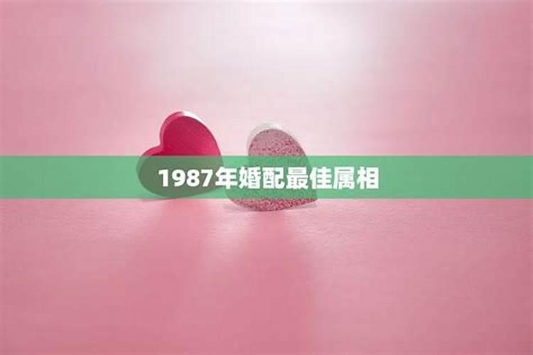 2025年春节是什么时候几月几号