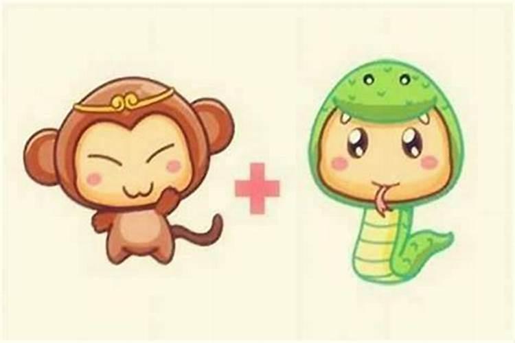 属蛇女和属猴男的婚姻配吗