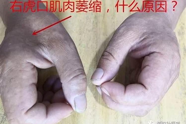 为什么纹身虎口毁一生