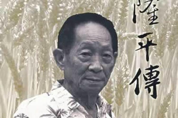 五行属木和什么最配 和什么相克