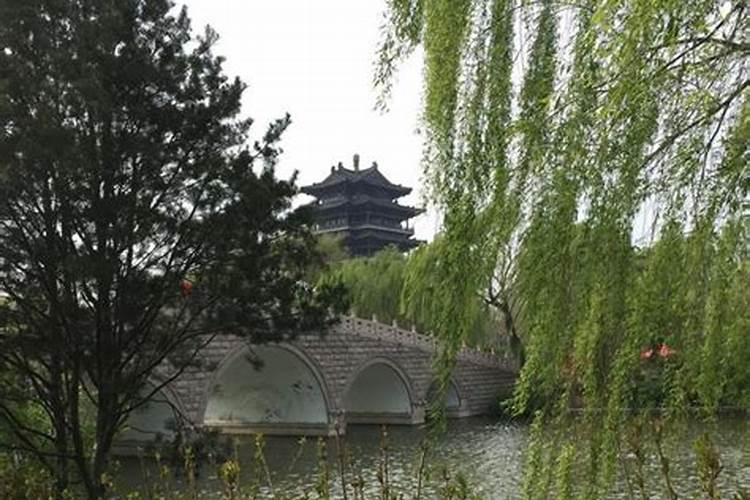 养什么生财转运最旺风水