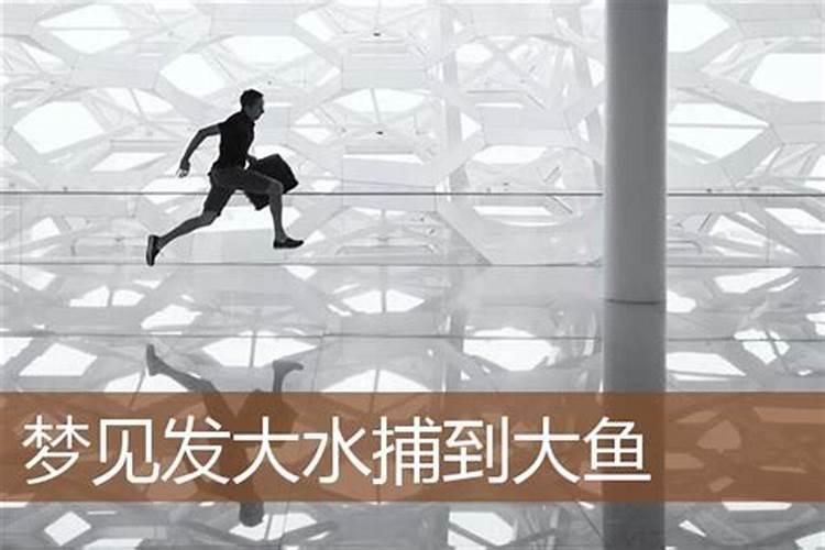 梦见突发大水还有大鱼的预兆