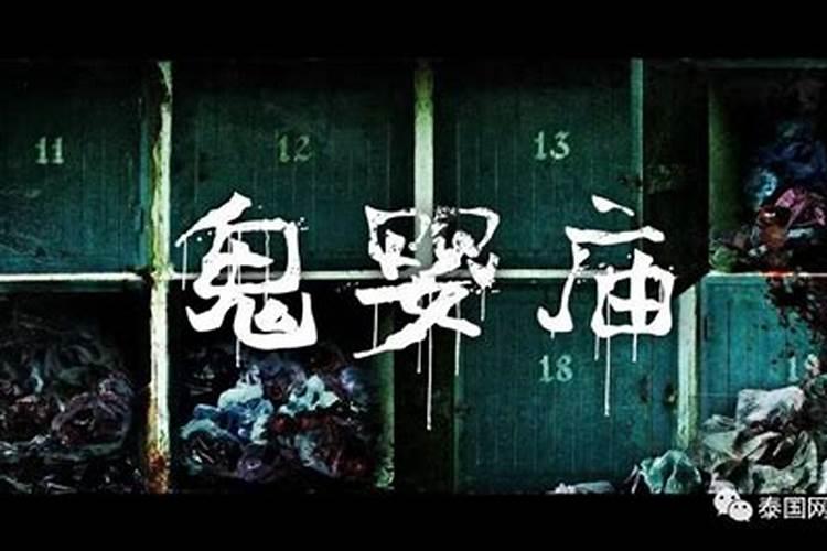 男龙女蛇相配婚姻会怎么样
