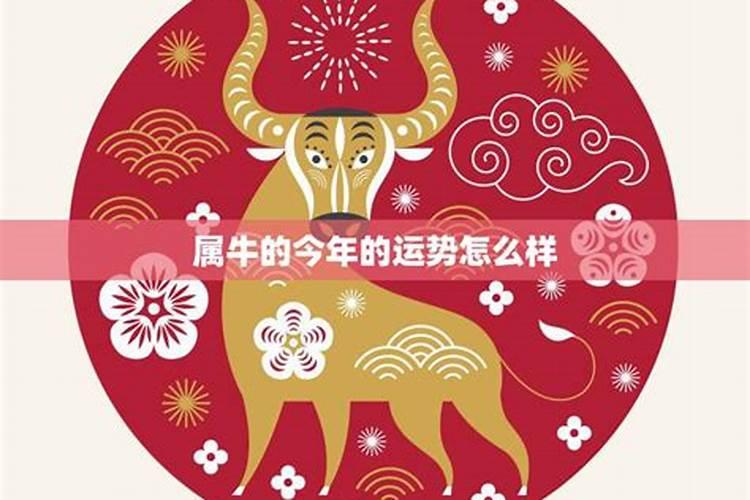 97年属牛何时走大运