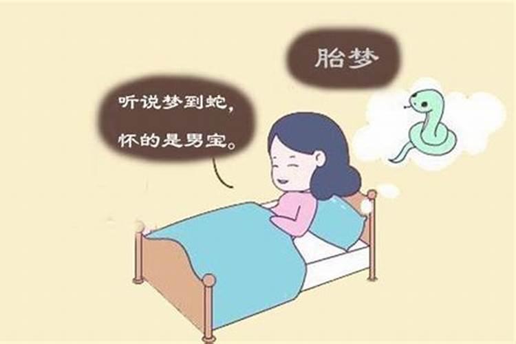 什么阶段的胎梦最准？为什么？