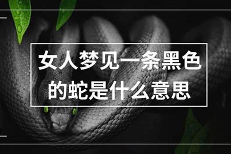 农历十月初一是阳历的哪一天