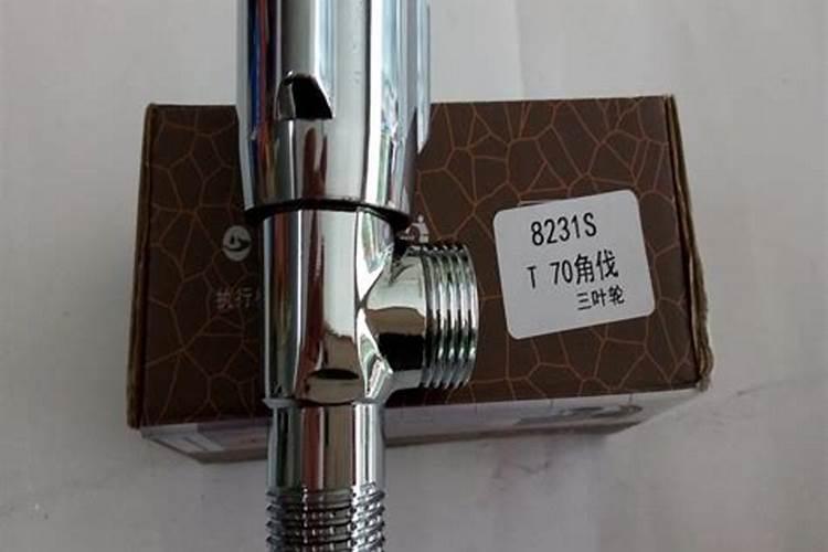 蝙蝠飞进家里预示什么