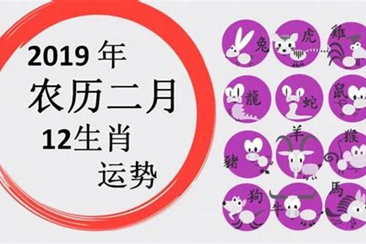 端午节吃熟大蒜的风俗