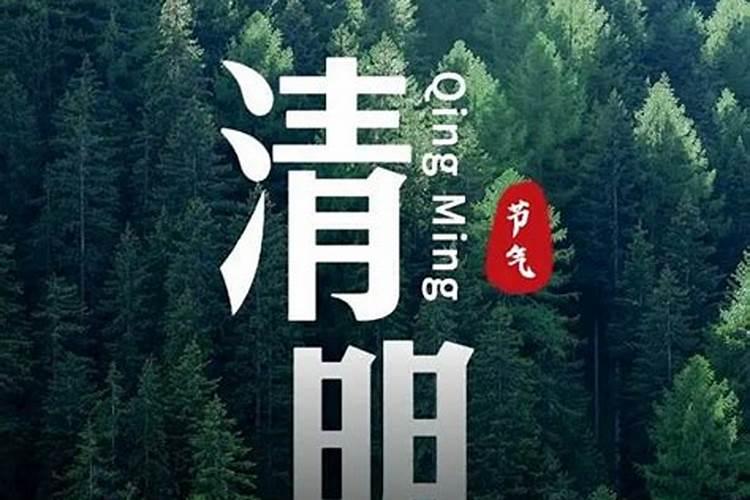 清明节文明祭祀宣传内容