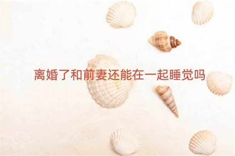 82年属狗人2025运势运程