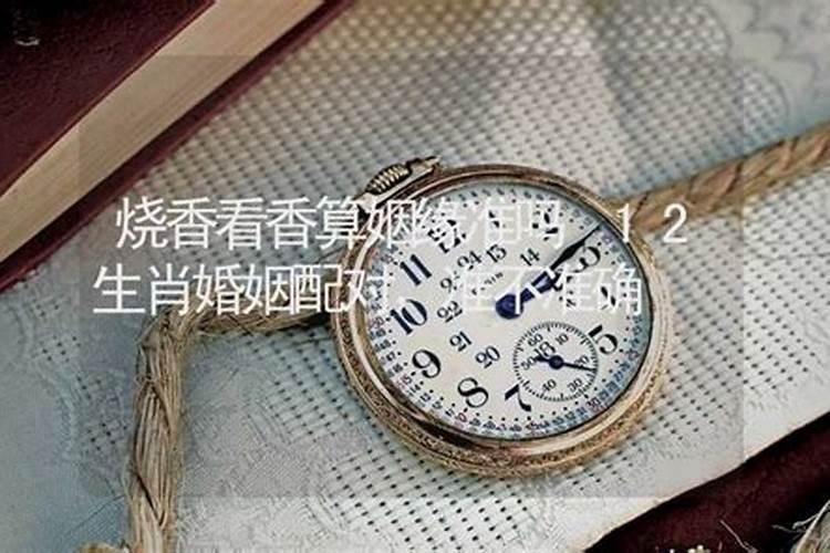 梦见章鱼预示
