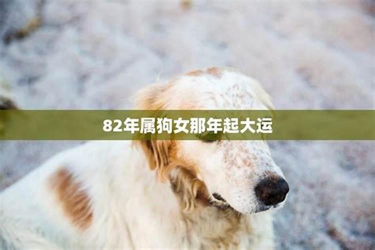 1982年属狗女2025年的运势和婚姻状况