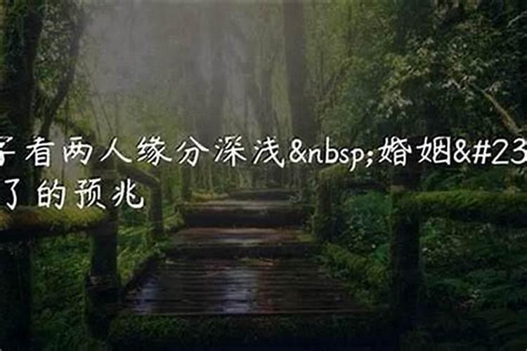 属兔犯太岁是什么意思？