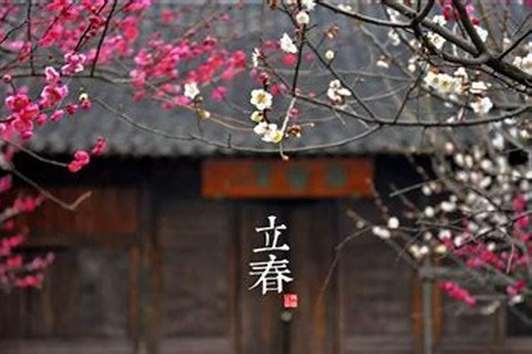 是属虎还是属兔？